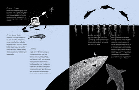 Doba na oceanie. Jak przepłynąć Atlantyk kajakiem. Niezwykłe wyprawy i wyczyny wyd. 2