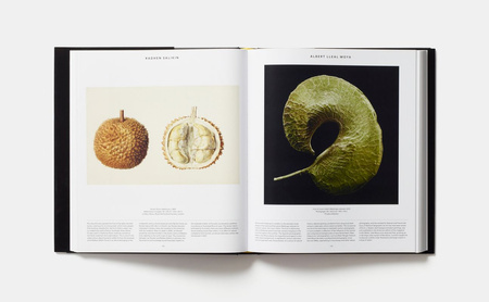 Plant. Exploring the Botanical World wer. angielska