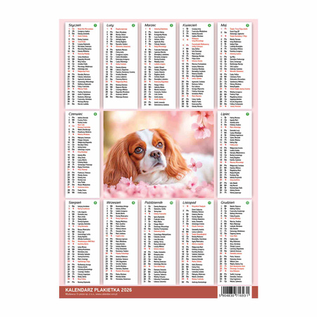 Kalendarz 2026 Plakietka 1szt.mix