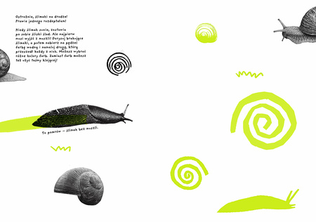 Spacer. Ćwiczenia przyrodnicze dla trzylatków. Mądrale