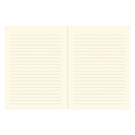 Notatnik Midi For I Know the Plans I Have for You Peter Pauper Press