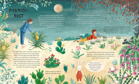 Po ciemku, czyli co się dzieje w nocy