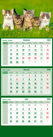 Kalendarz 2026 trójdzielny Koty