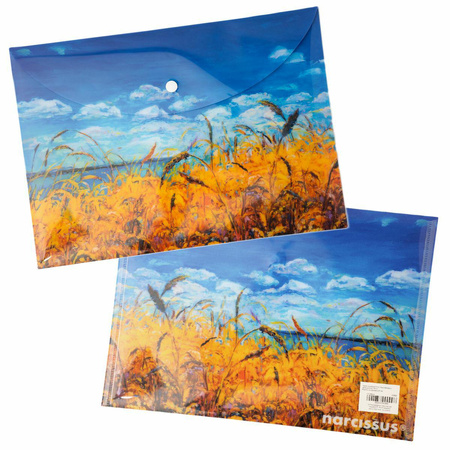 Paczka Teczka A4 kopertowa PP Niebo 5 szt.