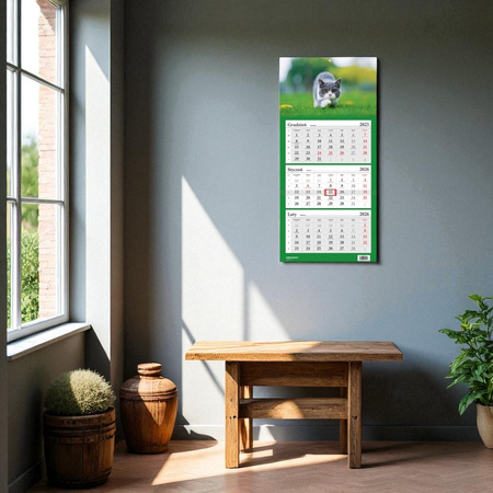 Kalendarz 2026 Trójdzielny Kot Brytyjski