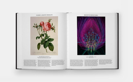 Plant. Exploring the Botanical World wer. angielska