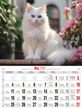 Kalendarz 2026 Koty KSM-4