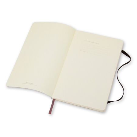 Notes Moleskine Classic L (13x21cm) w linie