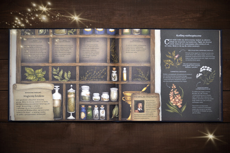 Historia naturalna magii. ART