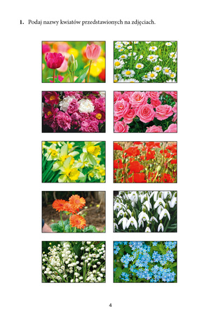 Demencja? To nie dla mnie! Poziom trudny Ćwiczenia percepcji i pamięci dla osób w podeszłym wieku