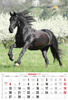Kalendarz 2026 A3 Konie A3-2