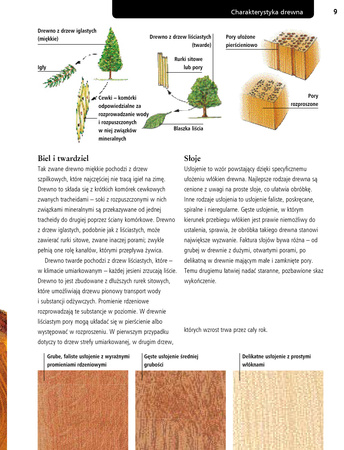 Stolarstwo. materiały, narzędzia, techniki, projekty