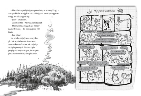 Mieszko, ty wikingu!. Ale historia... wyd. 2022