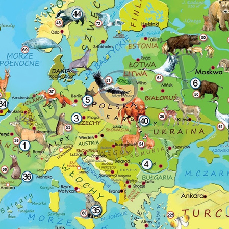 Puzzle 200 Zwierzęta Świata Młodego Odkrywcy