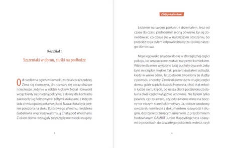 Chata pod Wierchami. POPR-ańcy. Tom 1