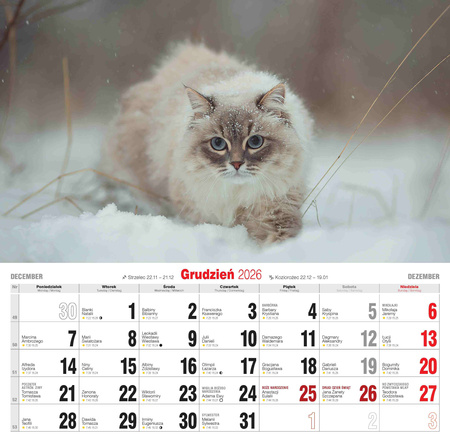 Kalendarz 2026 Koty KD-21