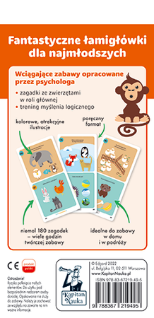 Re, re, kum, kum. Zagadki obrazkowe. Kapitan Nauka wyd. 3