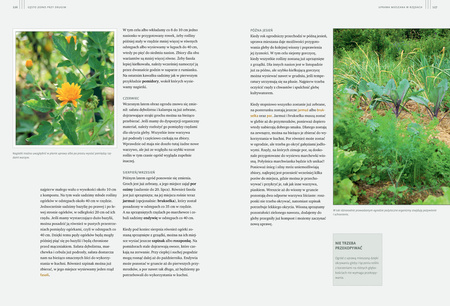 Sekrety ogrodu siostry Christy. Dlaczego rzodkiewki kochają marchewki. Zakonny poradnik ogrodniczy