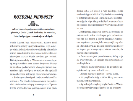 Gosia i Janek. Tajemnicze kamienie