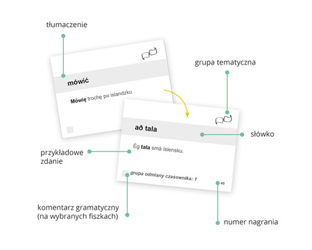 Islandzki Fiszki PLUS dla początkujących 1. Fiszki PLUS
