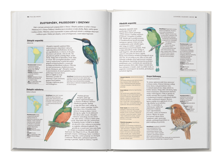 Encyklopedia ptaków świata