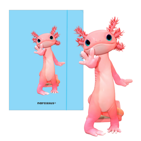 Teczka A4 z gumką Teddies Aksolotl