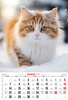 Kalendarz 2026 A3 koty A3-13