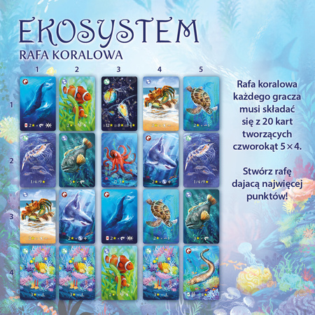 Gra Ekosystem 2 Rafa koralowa