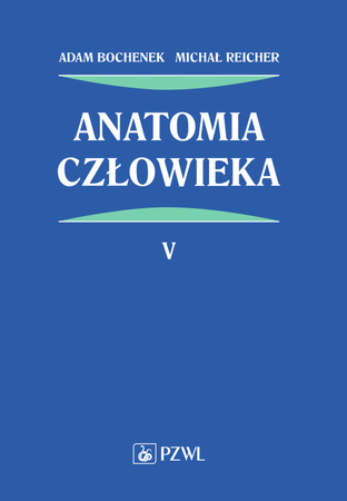Anatomia człowieka. Tom 5