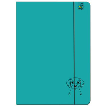 Paczka Teczka A4 z gumką Labrador turkus 5 sztuk