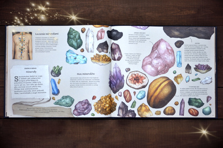 Historia naturalna magii. ART