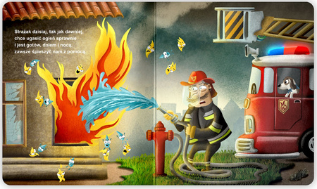 Czy już wiesz kim zostać chcesz? Poduszkowce