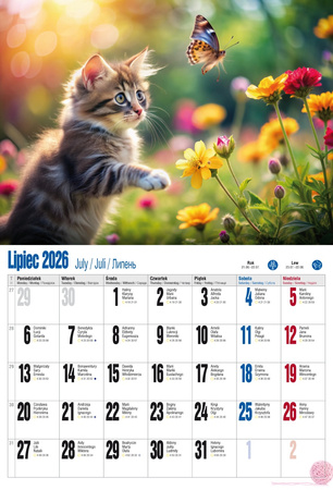 Kalendarz 2026 ścienny albumowy Kocie fanaberie KSA V2