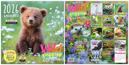Kalendarz 2026 classic Wild Puppies
