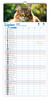 Kalendarz 2026 ścienny paskowy szeroki Koty Kotki Koteczki KPS V6