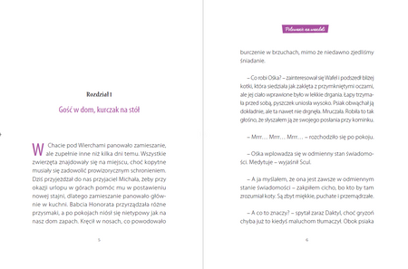 Polowanie na wandali. POPR-ańcy. Tom 5