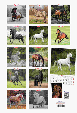 Kalendarz 2026 A3 Konie A3-2