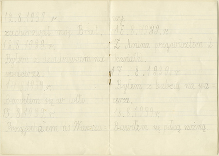 Widziałem pięknego dzięcioła