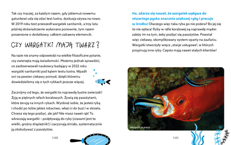 Nie ma głupich pytań!