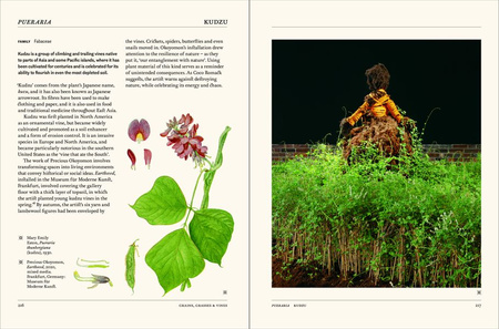 The Secret Language of Plants