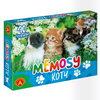 Gra Memosy Koty