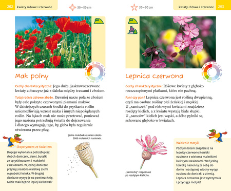 Wielki przewodnik po świecie przyrody. Zwierzęta i rośliny