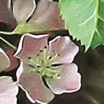 Puzzle 1000 CherryPazzi Glamour Bouquet 30134