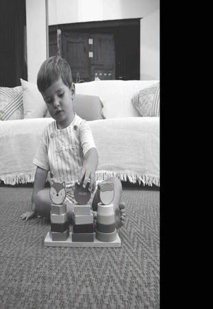 Wieża zwierzęta do układania