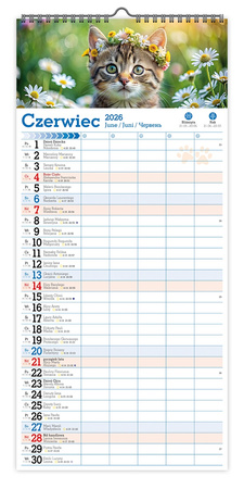 Kalendarz 2026 ścienny paskowy szeroki Koty Kotki Koteczki KPS V6