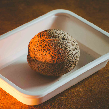 Lisciani Crazy Science Smoki i Dinozaury 304-PL89390