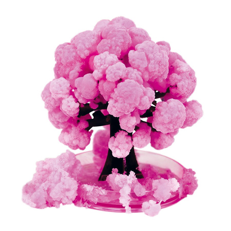 Kwitnące drzewo sakura Kidea