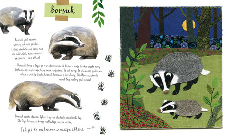 Mały atlas zwierzaków Ewy i Pawła Pawlaków wyd. 2025