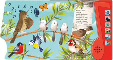 Ptasie radio. Wiersze do słuchania