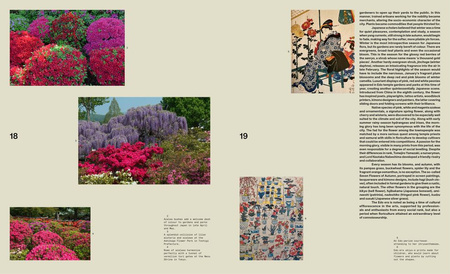 The Modern Japanese Garden